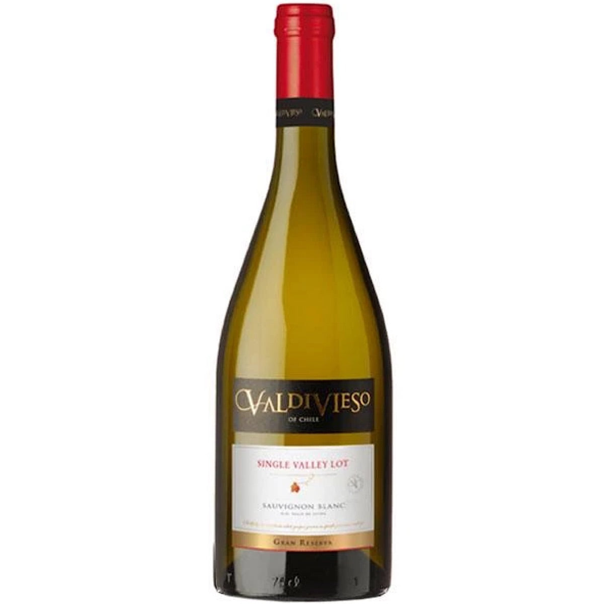 Valdivieso Valley Selection Sauvignon Blanc 6 Bottle Case 75cl